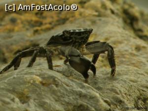 [P04] Evident, crab la Eforie Sud.  » foto by cod_gabriel
 - 
<span class="allrVoted glyphicon glyphicon-heart hidden" id="av824147"></span>
<a class="m-l-10 hidden" id="sv824147" onclick="voting_Foto_DelVot(,824147,19965)" role="button">șterge vot <span class="glyphicon glyphicon-remove"></span></a>
<a id="v9824147" class=" c-red"  onclick="voting_Foto_SetVot(824147)" role="button"><span class="glyphicon glyphicon-heart-empty"></span> <b>LIKE</b> = Votează poza</a> <img class="hidden"  id="f824147W9" src="/imagini/loader.gif" border="0" /><span class="AjErrMes hidden" id="e824147ErM"></span>