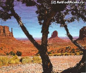 [P12] Mainile Timpului, Monument Valley - granita statelor Arizona - Utah » foto by Dan-Ioan
 - 
<span class="allrVoted glyphicon glyphicon-heart hidden" id="av548107"></span>
<a class="m-l-10 hidden" id="sv548107" onclick="voting_Foto_DelVot(,548107,20048)" role="button">șterge vot <span class="glyphicon glyphicon-remove"></span></a>
<a id="v9548107" class=" c-red"  onclick="voting_Foto_SetVot(548107)" role="button"><span class="glyphicon glyphicon-heart-empty"></span> <b>LIKE</b> = Votează poza</a> <img class="hidden"  id="f548107W9" src="/imagini/loader.gif" border="0" /><span class="AjErrMes hidden" id="e548107ErM"></span>