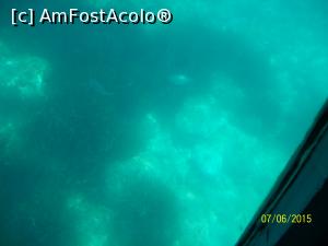 [P20] Iata si fundul marin: un peste si niste alge. Culoarea apei e frumoasa.  » foto by cristina47*
 - 
<span class="allrVoted glyphicon glyphicon-heart hidden" id="av721769"></span>
<a class="m-l-10 hidden" id="sv721769" onclick="voting_Foto_DelVot(,721769,20055)" role="button">șterge vot <span class="glyphicon glyphicon-remove"></span></a>
<a id="v9721769" class=" c-red"  onclick="voting_Foto_SetVot(721769)" role="button"><span class="glyphicon glyphicon-heart-empty"></span> <b>LIKE</b> = Votează poza</a> <img class="hidden"  id="f721769W9" src="/imagini/loader.gif" border="0" /><span class="AjErrMes hidden" id="e721769ErM"></span>