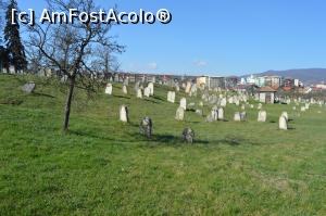 [P14] Cimitirul evreiesc » foto by ariciu*
 - 
<span class="allrVoted glyphicon glyphicon-heart hidden" id="av724110"></span>
<a class="m-l-10 hidden" id="sv724110" onclick="voting_Foto_DelVot(,724110,20091)" role="button">șterge vot <span class="glyphicon glyphicon-remove"></span></a>
<a id="v9724110" class=" c-red"  onclick="voting_Foto_SetVot(724110)" role="button"><span class="glyphicon glyphicon-heart-empty"></span> <b>LIKE</b> = Votează poza</a> <img class="hidden"  id="f724110W9" src="/imagini/loader.gif" border="0" /><span class="AjErrMes hidden" id="e724110ErM"></span>