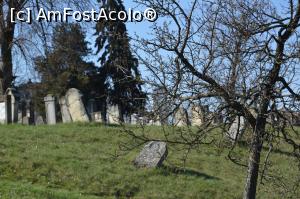 [P16] Cimitirul evreiesc - pietrele funerare care par să se scufunde...  » foto by ariciu*
 - 
<span class="allrVoted glyphicon glyphicon-heart hidden" id="av724112"></span>
<a class="m-l-10 hidden" id="sv724112" onclick="voting_Foto_DelVot(,724112,20091)" role="button">șterge vot <span class="glyphicon glyphicon-remove"></span></a>
<a id="v9724112" class=" c-red"  onclick="voting_Foto_SetVot(724112)" role="button"><span class="glyphicon glyphicon-heart-empty"></span> <b>LIKE</b> = Votează poza</a> <img class="hidden"  id="f724112W9" src="/imagini/loader.gif" border="0" /><span class="AjErrMes hidden" id="e724112ErM"></span>