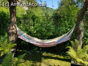 [P04] Hamac. Zona de relaxare :) » foto by bicaallin
 - 
<span class="allrVoted glyphicon glyphicon-heart hidden" id="av1177178"></span>
<a class="m-l-10 hidden" id="sv1177178" onclick="voting_Foto_DelVot(,1177178,20112)" role="button">șterge vot <span class="glyphicon glyphicon-remove"></span></a>
<a id="v91177178" class=" c-red"  onclick="voting_Foto_SetVot(1177178)" role="button"><span class="glyphicon glyphicon-heart-empty"></span> <b>LIKE</b> = Votează poza</a> <img class="hidden"  id="f1177178W9" src="/imagini/loader.gif" border="0" /><span class="AjErrMes hidden" id="e1177178ErM"></span>