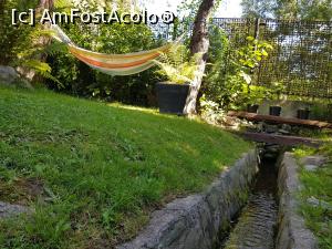 [P05] mini paraul din curte » foto by bicaallin
 - 
<span class="allrVoted glyphicon glyphicon-heart hidden" id="av1177179"></span>
<a class="m-l-10 hidden" id="sv1177179" onclick="voting_Foto_DelVot(,1177179,20112)" role="button">șterge vot <span class="glyphicon glyphicon-remove"></span></a>
<a id="v91177179" class=" c-red"  onclick="voting_Foto_SetVot(1177179)" role="button"><span class="glyphicon glyphicon-heart-empty"></span> <b>LIKE</b> = Votează poza</a> <img class="hidden"  id="f1177179W9" src="/imagini/loader.gif" border="0" /><span class="AjErrMes hidden" id="e1177179ErM"></span>