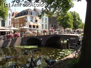 P22 [JUL-2019] La pas prin Leiden