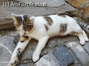 [P01]  -- <small>// FĂRĂ DESCRIERE</small> » foto by ⭐ValentinB_88⭐
 - 
<span class="allrVoted glyphicon glyphicon-heart hidden" id="av1236413"></span>
<a class="m-l-10 hidden" id="sv1236413" onclick="voting_Foto_DelVot(,1236413,20177)" role="button">șterge vot <span class="glyphicon glyphicon-remove"></span></a>
<a id="v91236413" class=" c-red"  onclick="voting_Foto_SetVot(1236413)" role="button"><span class="glyphicon glyphicon-heart-empty"></span> <b>LIKE</b> = Votează poza</a> <img class="hidden"  id="f1236413W9" src="/imagini/loader.gif" border="0" /><span class="AjErrMes hidden" id="e1236413ErM"></span>