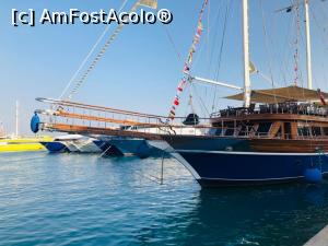 [P01] Marina Hurghada » foto by homeag_mihaela
 - 
<span class="allrVoted glyphicon glyphicon-heart hidden" id="av1189472"></span>
<a class="m-l-10 hidden" id="sv1189472" onclick="voting_Foto_DelVot(,1189472,20178)" role="button">șterge vot <span class="glyphicon glyphicon-remove"></span></a>
<a id="v91189472" class=" c-red"  onclick="voting_Foto_SetVot(1189472)" role="button"><span class="glyphicon glyphicon-heart-empty"></span> <b>LIKE</b> = Votează poza</a> <img class="hidden"  id="f1189472W9" src="/imagini/loader.gif" border="0" /><span class="AjErrMes hidden" id="e1189472ErM"></span>