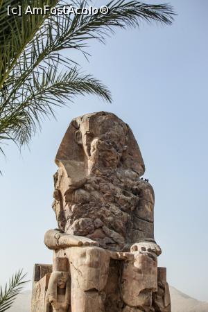 [P12] Unul din coloșii lui Memnon - Luxor » foto by Alina Roxana
 - 
<span class="allrVoted glyphicon glyphicon-heart hidden" id="av1047433"></span>
<a class="m-l-10 hidden" id="sv1047433" onclick="voting_Foto_DelVot(,1047433,20178)" role="button">șterge vot <span class="glyphicon glyphicon-remove"></span></a>
<a id="v91047433" class=" c-red"  onclick="voting_Foto_SetVot(1047433)" role="button"><span class="glyphicon glyphicon-heart-empty"></span> <b>LIKE</b> = Votează poza</a> <img class="hidden"  id="f1047433W9" src="/imagini/loader.gif" border="0" /><span class="AjErrMes hidden" id="e1047433ErM"></span>
