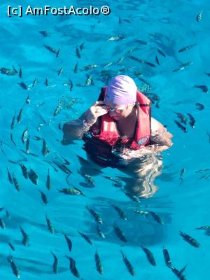 [P07] Snorkeling in excusia cu vaporasul la " dolphine house"  » foto by Irinamn
 - 
<span class="allrVoted glyphicon glyphicon-heart hidden" id="av1137872"></span>
<a class="m-l-10 hidden" id="sv1137872" onclick="voting_Foto_DelVot(,1137872,20178)" role="button">șterge vot <span class="glyphicon glyphicon-remove"></span></a>
<a id="v91137872" class=" c-red"  onclick="voting_Foto_SetVot(1137872)" role="button"><span class="glyphicon glyphicon-heart-empty"></span> <b>LIKE</b> = Votează poza</a> <img class="hidden"  id="f1137872W9" src="/imagini/loader.gif" border="0" /><span class="AjErrMes hidden" id="e1137872ErM"></span>