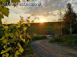 [P47] Alt apus de soare la Casa Timiș » foto by crismis
 - 
<span class="allrVoted glyphicon glyphicon-heart hidden" id="av1133159"></span>
<a class="m-l-10 hidden" id="sv1133159" onclick="voting_Foto_DelVot(,1133159,20182)" role="button">șterge vot <span class="glyphicon glyphicon-remove"></span></a>
<a id="v91133159" class=" c-red"  onclick="voting_Foto_SetVot(1133159)" role="button"><span class="glyphicon glyphicon-heart-empty"></span> <b>LIKE</b> = Votează poza</a> <img class="hidden"  id="f1133159W9" src="/imagini/loader.gif" border="0" /><span class="AjErrMes hidden" id="e1133159ErM"></span>