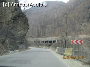 [P04]  -- <small>// FĂRĂ DESCRIERE</small> » foto by elviramvio
 - 
<span class="allrVoted glyphicon glyphicon-heart hidden" id="av731091"></span>
<a class="m-l-10 hidden" id="sv731091" onclick="voting_Foto_DelVot(,731091,20184)" role="button">șterge vot <span class="glyphicon glyphicon-remove"></span></a>
<a id="v9731091" class=" c-red"  onclick="voting_Foto_SetVot(731091)" role="button"><span class="glyphicon glyphicon-heart-empty"></span> <b>LIKE</b> = Votează poza</a> <img class="hidden"  id="f731091W9" src="/imagini/loader.gif" border="0" /><span class="AjErrMes hidden" id="e731091ErM"></span>