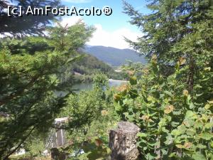 [P06] Vedere spre Lacul Valea de Pesti » foto by mogly
 - 
<span class="allrVoted glyphicon glyphicon-heart hidden" id="av770836"></span>
<a class="m-l-10 hidden" id="sv770836" onclick="voting_Foto_DelVot(,770836,20184)" role="button">șterge vot <span class="glyphicon glyphicon-remove"></span></a>
<a id="v9770836" class=" c-red"  onclick="voting_Foto_SetVot(770836)" role="button"><span class="glyphicon glyphicon-heart-empty"></span> <b>LIKE</b> = Votează poza</a> <img class="hidden"  id="f770836W9" src="/imagini/loader.gif" border="0" /><span class="AjErrMes hidden" id="e770836ErM"></span>