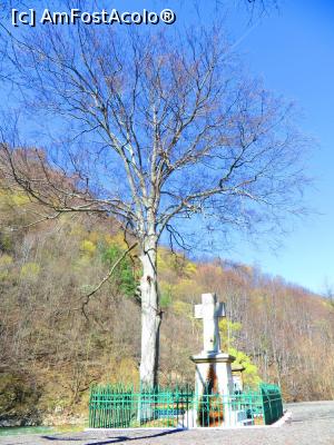 [P17] Monumentul generalului Dragalina - Defileul Jiului.  » foto by tata123 🔱
 - 
<span class="allrVoted glyphicon glyphicon-heart hidden" id="av737545"></span>
<a class="m-l-10 hidden" id="sv737545" onclick="voting_Foto_DelVot(,737545,20184)" role="button">șterge vot <span class="glyphicon glyphicon-remove"></span></a>
<a id="v9737545" class=" c-red"  onclick="voting_Foto_SetVot(737545)" role="button"><span class="glyphicon glyphicon-heart-empty"></span> <b>LIKE</b> = Votează poza</a> <img class="hidden"  id="f737545W9" src="/imagini/loader.gif" border="0" /><span class="AjErrMes hidden" id="e737545ErM"></span>