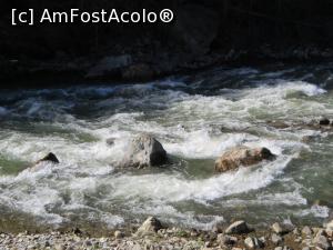 [P21] Apele vijelioase ale Jiului - tocmai bune pentru rafting.  » foto by tata123 🔱
 - 
<span class="allrVoted glyphicon glyphicon-heart hidden" id="av737549"></span>
<a class="m-l-10 hidden" id="sv737549" onclick="voting_Foto_DelVot(,737549,20184)" role="button">șterge vot <span class="glyphicon glyphicon-remove"></span></a>
<a id="v9737549" class=" c-red"  onclick="voting_Foto_SetVot(737549)" role="button"><span class="glyphicon glyphicon-heart-empty"></span> <b>LIKE</b> = Votează poza</a> <img class="hidden"  id="f737549W9" src="/imagini/loader.gif" border="0" /><span class="AjErrMes hidden" id="e737549ErM"></span>