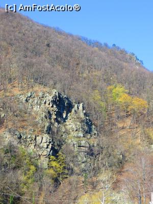 [P22] Formațiuni stâncoase răsar peste tot prin pădure - Defileul Jiului.  » foto by tata123 🔱
 - 
<span class="allrVoted glyphicon glyphicon-heart hidden" id="av737550"></span>
<a class="m-l-10 hidden" id="sv737550" onclick="voting_Foto_DelVot(,737550,20184)" role="button">șterge vot <span class="glyphicon glyphicon-remove"></span></a>
<a id="v9737550" class=" c-red"  onclick="voting_Foto_SetVot(737550)" role="button"><span class="glyphicon glyphicon-heart-empty"></span> <b>LIKE</b> = Votează poza</a> <img class="hidden"  id="f737550W9" src="/imagini/loader.gif" border="0" /><span class="AjErrMes hidden" id="e737550ErM"></span>