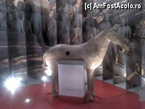 [P04] MNIR - expoziția Comorile Chinei - calul de teracotă, în mărime naturală.  » foto by Dragoș_MD
 - 
<span class="allrVoted glyphicon glyphicon-heart hidden" id="av445271"></span>
<a class="m-l-10 hidden" id="sv445271" onclick="voting_Foto_DelVot(,445271,20188)" role="button">șterge vot <span class="glyphicon glyphicon-remove"></span></a>
<a id="v9445271" class=" c-red"  onclick="voting_Foto_SetVot(445271)" role="button"><span class="glyphicon glyphicon-heart-empty"></span> <b>LIKE</b> = Votează poza</a> <img class="hidden"  id="f445271W9" src="/imagini/loader.gif" border="0" /><span class="AjErrMes hidden" id="e445271ErM"></span>