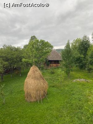 [P03] Prin curtea casei » foto by Trank
 - 
<span class="allrVoted glyphicon glyphicon-heart hidden" id="av1276392"></span>
<a class="m-l-10 hidden" id="sv1276392" onclick="voting_Foto_DelVot(,1276392,20220)" role="button">șterge vot <span class="glyphicon glyphicon-remove"></span></a>
<a id="v91276392" class=" c-red"  onclick="voting_Foto_SetVot(1276392)" role="button"><span class="glyphicon glyphicon-heart-empty"></span> <b>LIKE</b> = Votează poza</a> <img class="hidden"  id="f1276392W9" src="/imagini/loader.gif" border="0" /><span class="AjErrMes hidden" id="e1276392ErM"></span>