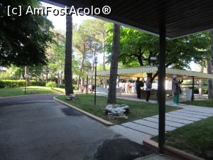 [P01] Parcarea din faţa hotelului » foto by Michi
 - 
<span class="allrVoted glyphicon glyphicon-heart hidden" id="av740144"></span>
<a class="m-l-10 hidden" id="sv740144" onclick="voting_Foto_DelVot(,740144,20308)" role="button">șterge vot <span class="glyphicon glyphicon-remove"></span></a>
<a id="v9740144" class=" c-red"  onclick="voting_Foto_SetVot(740144)" role="button"><span class="glyphicon glyphicon-heart-empty"></span> <b>LIKE</b> = Votează poza</a> <img class="hidden"  id="f740144W9" src="/imagini/loader.gif" border="0" /><span class="AjErrMes hidden" id="e740144ErM"></span>