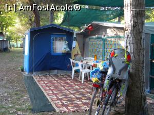 [P05] toti aveau biciclete » foto by anuca27
 - 
<span class="allrVoted glyphicon glyphicon-heart hidden" id="av741454"></span>
<a class="m-l-10 hidden" id="sv741454" onclick="voting_Foto_DelVot(,741454,20318)" role="button">șterge vot <span class="glyphicon glyphicon-remove"></span></a>
<a id="v9741454" class=" c-red"  onclick="voting_Foto_SetVot(741454)" role="button"><span class="glyphicon glyphicon-heart-empty"></span> <b>LIKE</b> = Votează poza</a> <img class="hidden"  id="f741454W9" src="/imagini/loader.gif" border="0" /><span class="AjErrMes hidden" id="e741454ErM"></span>