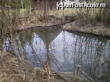[P19] Muzeul Satului Maramuresean - balta satului. » foto by presario
 - 
<span class="allrVoted glyphicon glyphicon-heart hidden" id="av64232"></span>
<a class="m-l-10 hidden" id="sv64232" onclick="voting_Foto_DelVot(,64232,20342)" role="button">șterge vot <span class="glyphicon glyphicon-remove"></span></a>
<a id="v964232" class=" c-red"  onclick="voting_Foto_SetVot(64232)" role="button"><span class="glyphicon glyphicon-heart-empty"></span> <b>LIKE</b> = Votează poza</a> <img class="hidden"  id="f64232W9" src="/imagini/loader.gif" border="0" /><span class="AjErrMes hidden" id="e64232ErM"></span>