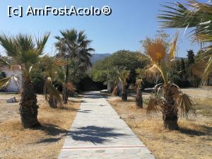 [P07] Promenada » foto by ancutza26
 - 
<span class="allrVoted glyphicon glyphicon-heart hidden" id="av918136"></span>
<a class="m-l-10 hidden" id="sv918136" onclick="voting_Foto_DelVot(,918136,20441)" role="button">șterge vot <span class="glyphicon glyphicon-remove"></span></a>
<a id="v9918136" class=" c-red"  onclick="voting_Foto_SetVot(918136)" role="button"><span class="glyphicon glyphicon-heart-empty"></span> <b>LIKE</b> = Votează poza</a> <img class="hidden"  id="f918136W9" src="/imagini/loader.gif" border="0" /><span class="AjErrMes hidden" id="e918136ErM"></span>