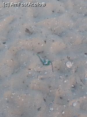 [P03]  -- <small>// FĂRĂ DESCRIERE</small> » foto by corinamaria
 - 
<span class="allrVoted glyphicon glyphicon-heart hidden" id="av752875"></span>
<a class="m-l-10 hidden" id="sv752875" onclick="voting_Foto_DelVot(,752875,20441)" role="button">șterge vot <span class="glyphicon glyphicon-remove"></span></a>
<a id="v9752875" class=" c-red"  onclick="voting_Foto_SetVot(752875)" role="button"><span class="glyphicon glyphicon-heart-empty"></span> <b>LIKE</b> = Votează poza</a> <img class="hidden"  id="f752875W9" src="/imagini/loader.gif" border="0" /><span class="AjErrMes hidden" id="e752875ErM"></span>