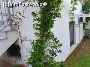 [P06] Nu va speriati, geamul de sub scara nu e de la o camera pentru turisti. » foto by dianamea
 - 
<span class="allrVoted glyphicon glyphicon-heart hidden" id="av1243553"></span>
<a class="m-l-10 hidden" id="sv1243553" onclick="voting_Foto_DelVot(,1243553,20517)" role="button">șterge vot <span class="glyphicon glyphicon-remove"></span></a>
<a id="v91243553" class=" c-red"  onclick="voting_Foto_SetVot(1243553)" role="button"><span class="glyphicon glyphicon-heart-empty"></span> <b>LIKE</b> = Votează poza</a> <img class="hidden"  id="f1243553W9" src="/imagini/loader.gif" border="0" /><span class="AjErrMes hidden" id="e1243553ErM"></span>