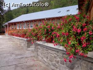 [P03] Mănăstirea Sfântul Prooroc Ilie din Toplița :arhondaricul (casa de oaspeți)  » foto by mariana.olaru
 - 
<span class="allrVoted glyphicon glyphicon-heart hidden" id="av762910"></span>
<a class="m-l-10 hidden" id="sv762910" onclick="voting_Foto_DelVot(,762910,20563)" role="button">șterge vot <span class="glyphicon glyphicon-remove"></span></a>
<a id="v9762910" class=" c-red"  onclick="voting_Foto_SetVot(762910)" role="button"><span class="glyphicon glyphicon-heart-empty"></span> <b>LIKE</b> = Votează poza</a> <img class="hidden"  id="f762910W9" src="/imagini/loader.gif" border="0" /><span class="AjErrMes hidden" id="e762910ErM"></span>