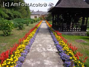 [P45] Mănăstirea Sfântul Prooroc Ilie din Toplița :alee tricoloră » foto by mariana.olaru
 - 
<span class="allrVoted glyphicon glyphicon-heart hidden" id="av763047"></span>
<a class="m-l-10 hidden" id="sv763047" onclick="voting_Foto_DelVot(,763047,20563)" role="button">șterge vot <span class="glyphicon glyphicon-remove"></span></a>
<a id="v9763047" class=" c-red"  onclick="voting_Foto_SetVot(763047)" role="button"><span class="glyphicon glyphicon-heart-empty"></span> <b>LIKE</b> = Votează poza</a> <img class="hidden"  id="f763047W9" src="/imagini/loader.gif" border="0" /><span class="AjErrMes hidden" id="e763047ErM"></span>