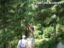 [P01] Partea de jos a potecii care duce spre Groapa Ruginoasa, frumoasă, lină și ușor de parcurs.  » foto by Utube
 - 
<span class="allrVoted glyphicon glyphicon-heart hidden" id="av406885"></span>
<a class="m-l-10 hidden" id="sv406885" onclick="voting_Foto_DelVot(,406885,20640)" role="button">șterge vot <span class="glyphicon glyphicon-remove"></span></a>
<a id="v9406885" class=" c-red"  onclick="voting_Foto_SetVot(406885)" role="button"><span class="glyphicon glyphicon-heart-empty"></span> <b>LIKE</b> = Votează poza</a> <img class="hidden"  id="f406885W9" src="/imagini/loader.gif" border="0" /><span class="AjErrMes hidden" id="e406885ErM"></span>