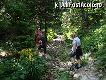 [P02] Poteca începe să fie presărată cu pietre, urcușul devenind mai dificil.  » foto by Utube
 - 
<span class="allrVoted glyphicon glyphicon-heart hidden" id="av406886"></span>
<a class="m-l-10 hidden" id="sv406886" onclick="voting_Foto_DelVot(,406886,20640)" role="button">șterge vot <span class="glyphicon glyphicon-remove"></span></a>
<a id="v9406886" class=" c-red"  onclick="voting_Foto_SetVot(406886)" role="button"><span class="glyphicon glyphicon-heart-empty"></span> <b>LIKE</b> = Votează poza</a> <img class="hidden"  id="f406886W9" src="/imagini/loader.gif" border="0" /><span class="AjErrMes hidden" id="e406886ErM"></span>