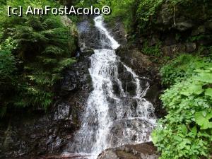 [P10] Șiroaiele de apă se agită în cădere până devin albe - cascada Pătrăhăițești.  » foto by tata123 🔱
 - 
<span class="allrVoted glyphicon glyphicon-heart hidden" id="av1103344"></span>
<a class="m-l-10 hidden" id="sv1103344" onclick="voting_Foto_DelVot(,1103344,20671)" role="button">șterge vot <span class="glyphicon glyphicon-remove"></span></a>
<a id="v91103344" class=" c-red"  onclick="voting_Foto_SetVot(1103344)" role="button"><span class="glyphicon glyphicon-heart-empty"></span> <b>LIKE</b> = Votează poza</a> <img class="hidden"  id="f1103344W9" src="/imagini/loader.gif" border="0" /><span class="AjErrMes hidden" id="e1103344ErM"></span>