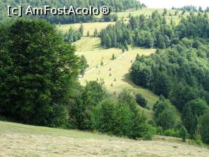 [P02] Priveliști în jurul satului Pătrăhăițești.  » foto by tata123 🔱
 - 
<span class="allrVoted glyphicon glyphicon-heart hidden" id="av1103336"></span>
<a class="m-l-10 hidden" id="sv1103336" onclick="voting_Foto_DelVot(,1103336,20671)" role="button">șterge vot <span class="glyphicon glyphicon-remove"></span></a>
<a id="v91103336" class=" c-red"  onclick="voting_Foto_SetVot(1103336)" role="button"><span class="glyphicon glyphicon-heart-empty"></span> <b>LIKE</b> = Votează poza</a> <img class="hidden"  id="f1103336W9" src="/imagini/loader.gif" border="0" /><span class="AjErrMes hidden" id="e1103336ErM"></span>