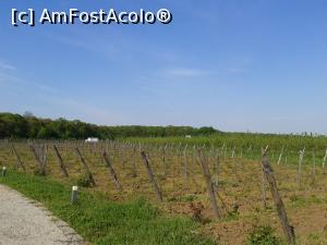 [P20] Podgoriile Vlăsia. În spate livezile.  » foto by Aurici
 - 
<span class="allrVoted glyphicon glyphicon-heart hidden" id="av735094"></span>
<a class="m-l-10 hidden" id="sv735094" onclick="voting_Foto_DelVot(,735094,20727)" role="button">șterge vot <span class="glyphicon glyphicon-remove"></span></a>
<a id="v9735094" class=" c-red"  onclick="voting_Foto_SetVot(735094)" role="button"><span class="glyphicon glyphicon-heart-empty"></span> <b>LIKE</b> = Votează poza</a> <img class="hidden"  id="f735094W9" src="/imagini/loader.gif" border="0" /><span class="AjErrMes hidden" id="e735094ErM"></span>