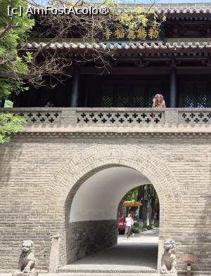 [P39]  -- <small>// FĂRĂ DESCRIERE</small> » foto by geani anto
 - 
<span class="allrVoted glyphicon glyphicon-heart hidden" id="av1504839"></span>
<a class="m-l-10 hidden" id="sv1504839" onclick="voting_Foto_DelVot(,1504839,20766)" role="button">șterge vot <span class="glyphicon glyphicon-remove"></span></a>
<a id="v91504839" class=" c-red"  onclick="voting_Foto_SetVot(1504839)" role="button"><span class="glyphicon glyphicon-heart-empty"></span> <b>LIKE</b> = Votează poza</a> <img class="hidden"  id="f1504839W9" src="/imagini/loader.gif" border="0" /><span class="AjErrMes hidden" id="e1504839ErM"></span>