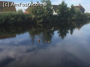 [P01] Rățuște sălbatice dar oricând amatoare de o gustare din partea turistilor » foto by sixtyniner
 - 
<span class="allrVoted glyphicon glyphicon-heart hidden" id="av777060"></span>
<a class="m-l-10 hidden" id="sv777060" onclick="voting_Foto_DelVot(,777060,20783)" role="button">șterge vot <span class="glyphicon glyphicon-remove"></span></a>
<a id="v9777060" class=" c-red"  onclick="voting_Foto_SetVot(777060)" role="button"><span class="glyphicon glyphicon-heart-empty"></span> <b>LIKE</b> = Votează poza</a> <img class="hidden"  id="f777060W9" src="/imagini/loader.gif" border="0" /><span class="AjErrMes hidden" id="e777060ErM"></span>