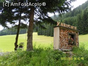 [P04] N-am rezistat, a trebuit să cobor din mașină și să o pozez...  » foto by Alina53
 - 
<span class="allrVoted glyphicon glyphicon-heart hidden" id="av781462"></span>
<a class="m-l-10 hidden" id="sv781462" onclick="voting_Foto_DelVot(,781462,20869)" role="button">șterge vot <span class="glyphicon glyphicon-remove"></span></a>
<a id="v9781462" class=" c-red"  onclick="voting_Foto_SetVot(781462)" role="button"><span class="glyphicon glyphicon-heart-empty"></span> <b>LIKE</b> = Votează poza</a> <img class="hidden"  id="f781462W9" src="/imagini/loader.gif" border="0" /><span class="AjErrMes hidden" id="e781462ErM"></span>