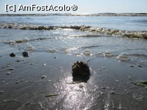 [P04] Marea Neagră la orele dimineții.  » foto by tata123 🔱
 - 
<span class="allrVoted glyphicon glyphicon-heart hidden" id="av1102325"></span>
<a class="m-l-10 hidden" id="sv1102325" onclick="voting_Foto_DelVot(,1102325,20875)" role="button">șterge vot <span class="glyphicon glyphicon-remove"></span></a>
<a id="v91102325" class=" c-red"  onclick="voting_Foto_SetVot(1102325)" role="button"><span class="glyphicon glyphicon-heart-empty"></span> <b>LIKE</b> = Votează poza</a> <img class="hidden"  id="f1102325W9" src="/imagini/loader.gif" border="0" /><span class="AjErrMes hidden" id="e1102325ErM"></span>