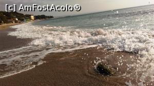 [P07] plaja superba, vedere spre nord, spre Nisipuri » foto by alba.ca.zapada
 - 
<span class="allrVoted glyphicon glyphicon-heart hidden" id="av785093"></span>
<a class="m-l-10 hidden" id="sv785093" onclick="voting_Foto_DelVot(,785093,20930)" role="button">șterge vot <span class="glyphicon glyphicon-remove"></span></a>
<a id="v9785093" class=" c-red"  onclick="voting_Foto_SetVot(785093)" role="button"><span class="glyphicon glyphicon-heart-empty"></span> <b>LIKE</b> = Votează poza</a> <img class="hidden"  id="f785093W9" src="/imagini/loader.gif" border="0" /><span class="AjErrMes hidden" id="e785093ErM"></span>