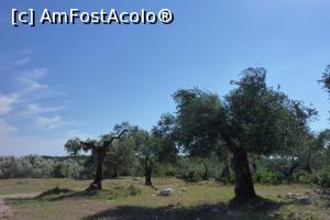 [P18] Livada de maslini » foto by dansysro
 - 
<span class="allrVoted glyphicon glyphicon-heart hidden" id="av788967"></span>
<a class="m-l-10 hidden" id="sv788967" onclick="voting_Foto_DelVot(,788967,21005)" role="button">șterge vot <span class="glyphicon glyphicon-remove"></span></a>
<a id="v9788967" class=" c-red"  onclick="voting_Foto_SetVot(788967)" role="button"><span class="glyphicon glyphicon-heart-empty"></span> <b>LIKE</b> = Votează poza</a> <img class="hidden"  id="f788967W9" src="/imagini/loader.gif" border="0" /><span class="AjErrMes hidden" id="e788967ErM"></span>