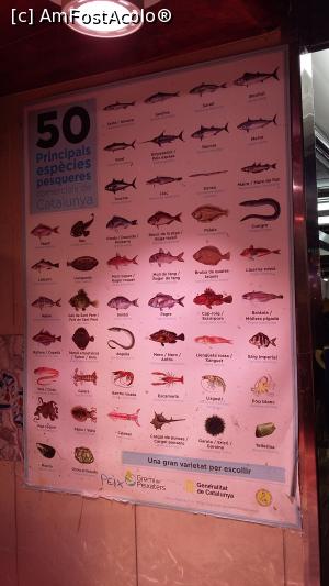 [P30] cam ce gasesti in piata La Boqueria - pesti si fructe de mare » foto by raducondurache
 - 
<span class="allrVoted glyphicon glyphicon-heart hidden" id="av849349"></span>
<a class="m-l-10 hidden" id="sv849349" onclick="voting_Foto_DelVot(,849349,21008)" role="button">șterge vot <span class="glyphicon glyphicon-remove"></span></a>
<a id="v9849349" class=" c-red"  onclick="voting_Foto_SetVot(849349)" role="button"><span class="glyphicon glyphicon-heart-empty"></span> <b>LIKE</b> = Votează poza</a> <img class="hidden"  id="f849349W9" src="/imagini/loader.gif" border="0" /><span class="AjErrMes hidden" id="e849349ErM"></span>