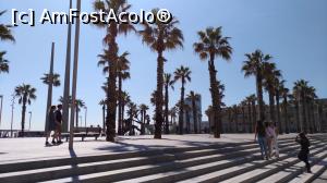 [P03] barceloneta-LA de Europa » foto by daneel
 - 
<span class="allrVoted glyphicon glyphicon-heart hidden" id="av879445"></span>
<a class="m-l-10 hidden" id="sv879445" onclick="voting_Foto_DelVot(,879445,21008)" role="button">șterge vot <span class="glyphicon glyphicon-remove"></span></a>
<a id="v9879445" class=" c-red"  onclick="voting_Foto_SetVot(879445)" role="button"><span class="glyphicon glyphicon-heart-empty"></span> <b>LIKE</b> = Votează poza</a> <img class="hidden"  id="f879445W9" src="/imagini/loader.gif" border="0" /><span class="AjErrMes hidden" id="e879445ErM"></span>