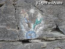 [P21] Icoana parca nu e pictata de mana omeneasca! » foto by georgiana
 - 
<span class="allrVoted glyphicon glyphicon-heart hidden" id="av73358"></span>
<a class="m-l-10 hidden" id="sv73358" onclick="voting_Foto_DelVot(,73358,21011)" role="button">șterge vot <span class="glyphicon glyphicon-remove"></span></a>
<a id="v973358" class=" c-red"  onclick="voting_Foto_SetVot(73358)" role="button"><span class="glyphicon glyphicon-heart-empty"></span> <b>LIKE</b> = Votează poza</a> <img class="hidden"  id="f73358W9" src="/imagini/loader.gif" border="0" /><span class="AjErrMes hidden" id="e73358ErM"></span>