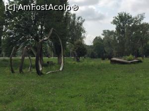 [P07] Sa admiram sculturile in lemn din Parcul Teius din Caransebes!  » foto by Dan&Ema
 - 
<span class="allrVoted glyphicon glyphicon-heart hidden" id="av790764"></span>
<a class="m-l-10 hidden" id="sv790764" onclick="voting_Foto_DelVot(,790764,21011)" role="button">șterge vot <span class="glyphicon glyphicon-remove"></span></a>
<a id="v9790764" class=" c-red"  onclick="voting_Foto_SetVot(790764)" role="button"><span class="glyphicon glyphicon-heart-empty"></span> <b>LIKE</b> = Votează poza</a> <img class="hidden"  id="f790764W9" src="/imagini/loader.gif" border="0" /><span class="AjErrMes hidden" id="e790764ErM"></span>