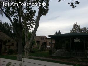 [P02]  -- <small>// FĂRĂ DESCRIERE</small> » foto by Adela88
 - 
<span class="allrVoted glyphicon glyphicon-heart hidden" id="av789510"></span>
<a class="m-l-10 hidden" id="sv789510" onclick="voting_Foto_DelVot(,789510,21019)" role="button">șterge vot <span class="glyphicon glyphicon-remove"></span></a>
<a id="v9789510" class=" c-red"  onclick="voting_Foto_SetVot(789510)" role="button"><span class="glyphicon glyphicon-heart-empty"></span> <b>LIKE</b> = Votează poza</a> <img class="hidden"  id="f789510W9" src="/imagini/loader.gif" border="0" /><span class="AjErrMes hidden" id="e789510ErM"></span>