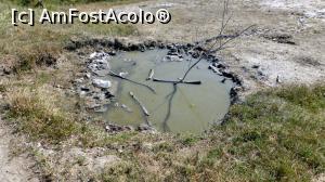[P07] Baltă cu slabe emanații de gaze din care izvorăște un firicel de apă sărată » foto by Lucien
 - 
<span class="allrVoted glyphicon glyphicon-heart hidden" id="av968980"></span>
<a class="m-l-10 hidden" id="sv968980" onclick="voting_Foto_DelVot(,968980,21040)" role="button">șterge vot <span class="glyphicon glyphicon-remove"></span></a>
<a id="v9968980" class=" c-red"  onclick="voting_Foto_SetVot(968980)" role="button"><span class="glyphicon glyphicon-heart-empty"></span> <b>LIKE</b> = Votează poza</a> <img class="hidden"  id="f968980W9" src="/imagini/loader.gif" border="0" /><span class="AjErrMes hidden" id="e968980ErM"></span>