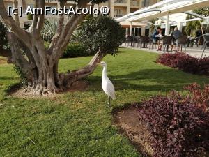[P16] Mascota resortului » foto by mondo_76
 - 
<span class="allrVoted glyphicon glyphicon-heart hidden" id="av1216206"></span>
<a class="m-l-10 hidden" id="sv1216206" onclick="voting_Foto_DelVot(,1216206,21059)" role="button">șterge vot <span class="glyphicon glyphicon-remove"></span></a>
<a id="v91216206" class=" c-red"  onclick="voting_Foto_SetVot(1216206)" role="button"><span class="glyphicon glyphicon-heart-empty"></span> <b>LIKE</b> = Votează poza</a> <img class="hidden"  id="f1216206W9" src="/imagini/loader.gif" border="0" /><span class="AjErrMes hidden" id="e1216206ErM"></span>