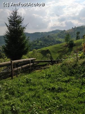 [P24] Fericetul lui Horea, com. Horea, jud. Alba<p> vedere de langa casa » foto by Dana2008
 - 
<span class="allrVoted glyphicon glyphicon-heart hidden" id="av1013277"></span>
<a class="m-l-10 hidden" id="sv1013277" onclick="voting_Foto_DelVot(,1013277,21083)" role="button">șterge vot <span class="glyphicon glyphicon-remove"></span></a>
<a id="v91013277" class=" c-red"  onclick="voting_Foto_SetVot(1013277)" role="button"><span class="glyphicon glyphicon-heart-empty"></span> <b>LIKE</b> = Votează poza</a> <img class="hidden"  id="f1013277W9" src="/imagini/loader.gif" border="0" /><span class="AjErrMes hidden" id="e1013277ErM"></span>