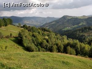 [P27] Fericetul lui Horea, com. Horea, jud. Alba<p> vedere de langa casa » foto by Dana2008
 - 
<span class="allrVoted glyphicon glyphicon-heart hidden" id="av1013281"></span>
<a class="m-l-10 hidden" id="sv1013281" onclick="voting_Foto_DelVot(,1013281,21083)" role="button">șterge vot <span class="glyphicon glyphicon-remove"></span></a>
<a id="v91013281" class=" c-red"  onclick="voting_Foto_SetVot(1013281)" role="button"><span class="glyphicon glyphicon-heart-empty"></span> <b>LIKE</b> = Votează poza</a> <img class="hidden"  id="f1013281W9" src="/imagini/loader.gif" border="0" /><span class="AjErrMes hidden" id="e1013281ErM"></span>