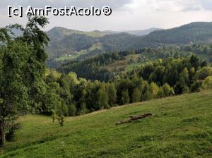 [P28] Fericetul lui Horea, com. Horea, jud. Alba<p> vedere de langa casa » foto by Dana2008
 - 
<span class="allrVoted glyphicon glyphicon-heart hidden" id="av1013282"></span>
<a class="m-l-10 hidden" id="sv1013282" onclick="voting_Foto_DelVot(,1013282,21083)" role="button">șterge vot <span class="glyphicon glyphicon-remove"></span></a>
<a id="v91013282" class=" c-red"  onclick="voting_Foto_SetVot(1013282)" role="button"><span class="glyphicon glyphicon-heart-empty"></span> <b>LIKE</b> = Votează poza</a> <img class="hidden"  id="f1013282W9" src="/imagini/loader.gif" border="0" /><span class="AjErrMes hidden" id="e1013282ErM"></span>