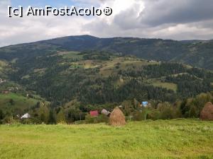 [P30] Fericetul lui Horea, com. Horea, jud. Alba » foto by Dana2008
 - 
<span class="allrVoted glyphicon glyphicon-heart hidden" id="av1013285"></span>
<a class="m-l-10 hidden" id="sv1013285" onclick="voting_Foto_DelVot(,1013285,21083)" role="button">șterge vot <span class="glyphicon glyphicon-remove"></span></a>
<a id="v91013285" class=" c-red"  onclick="voting_Foto_SetVot(1013285)" role="button"><span class="glyphicon glyphicon-heart-empty"></span> <b>LIKE</b> = Votează poza</a> <img class="hidden"  id="f1013285W9" src="/imagini/loader.gif" border="0" /><span class="AjErrMes hidden" id="e1013285ErM"></span>